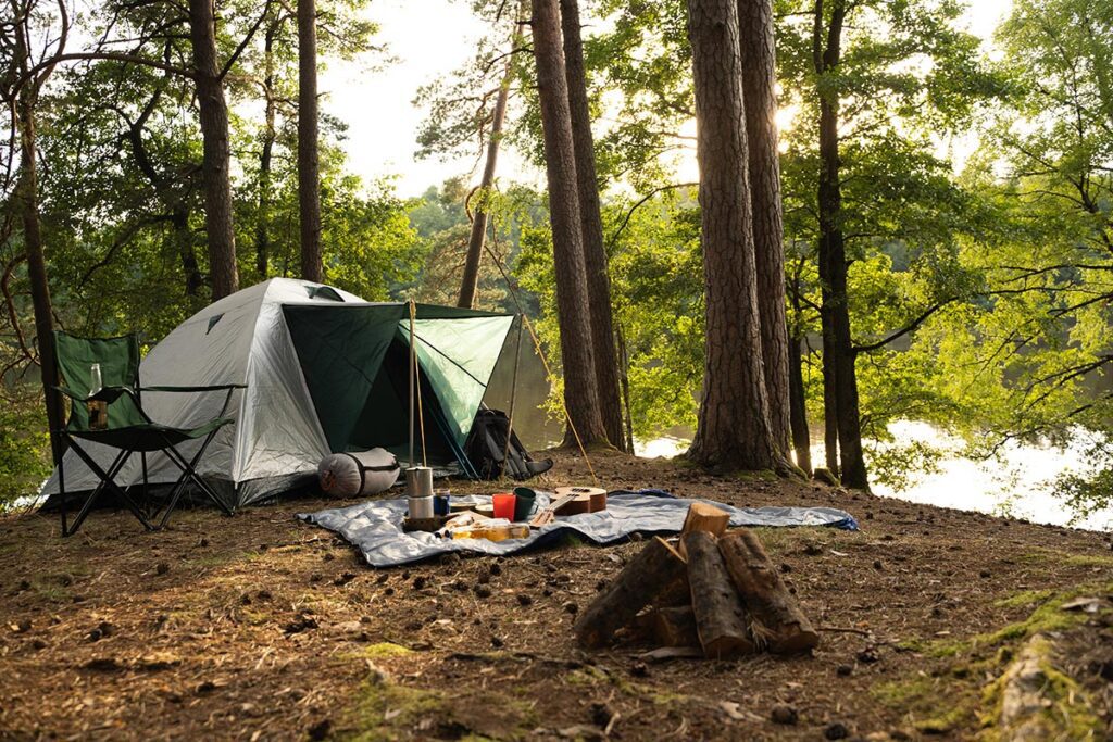 Camp site with food and drink on rug in summer forest