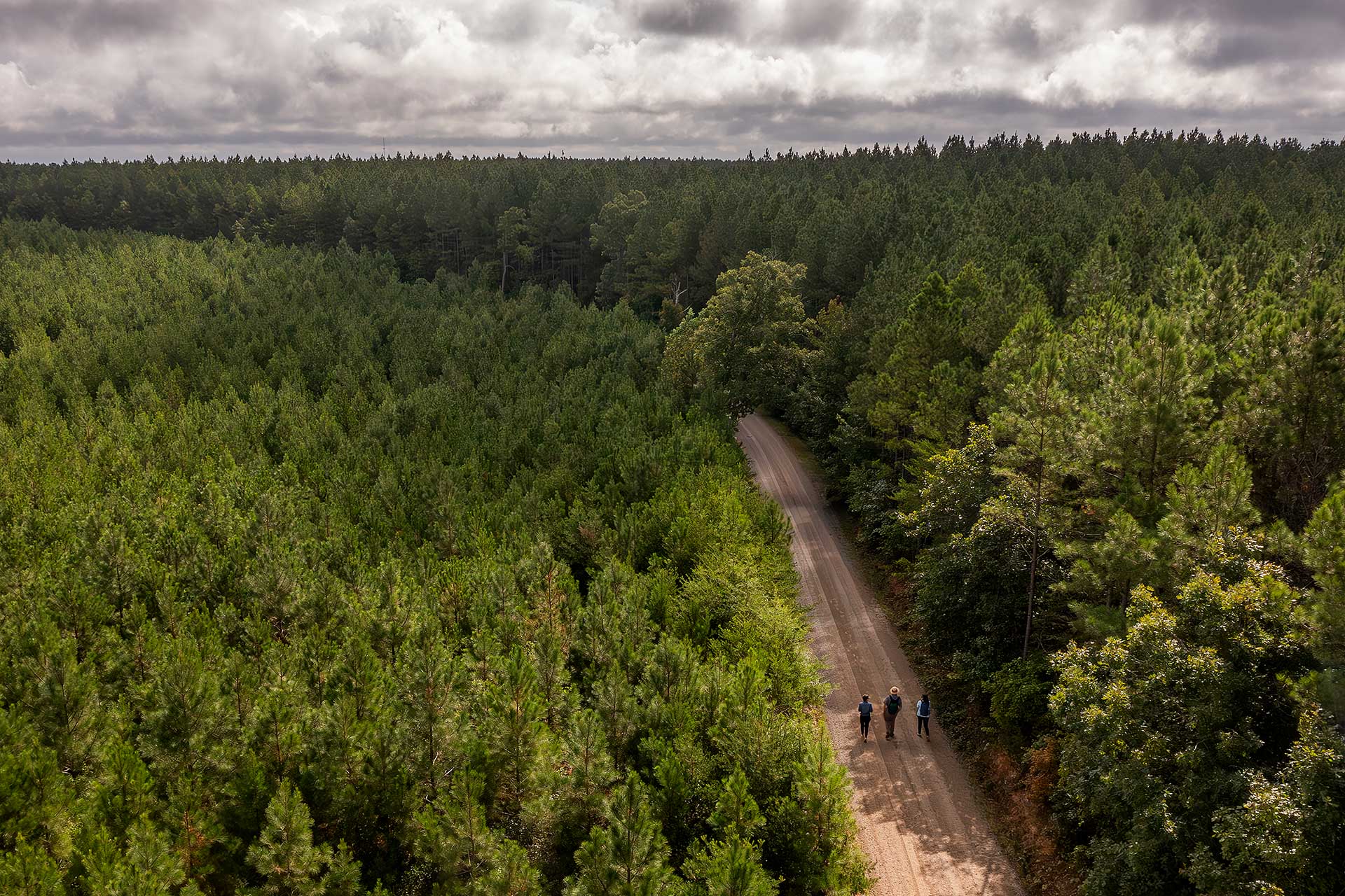 Hiking in King and Queen County