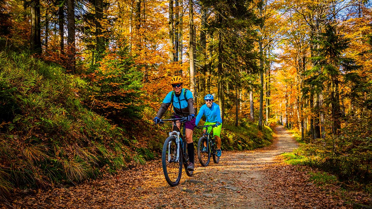Mountain biking in autumn landscape forest.